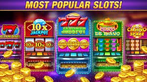 bd 29